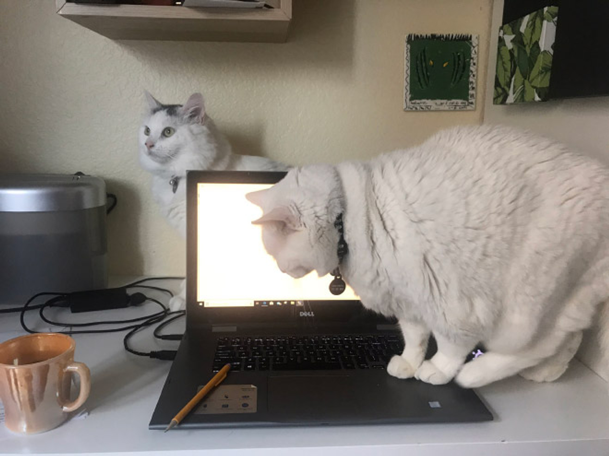 kat 2