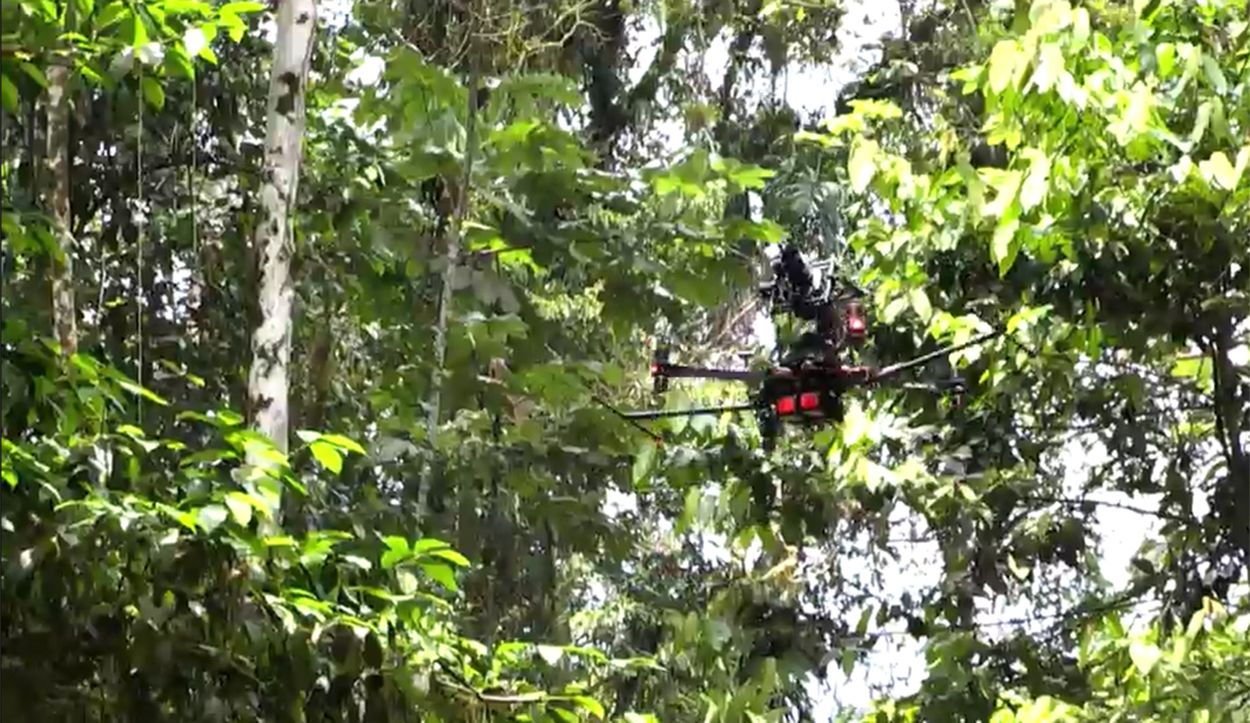 drone in jungle