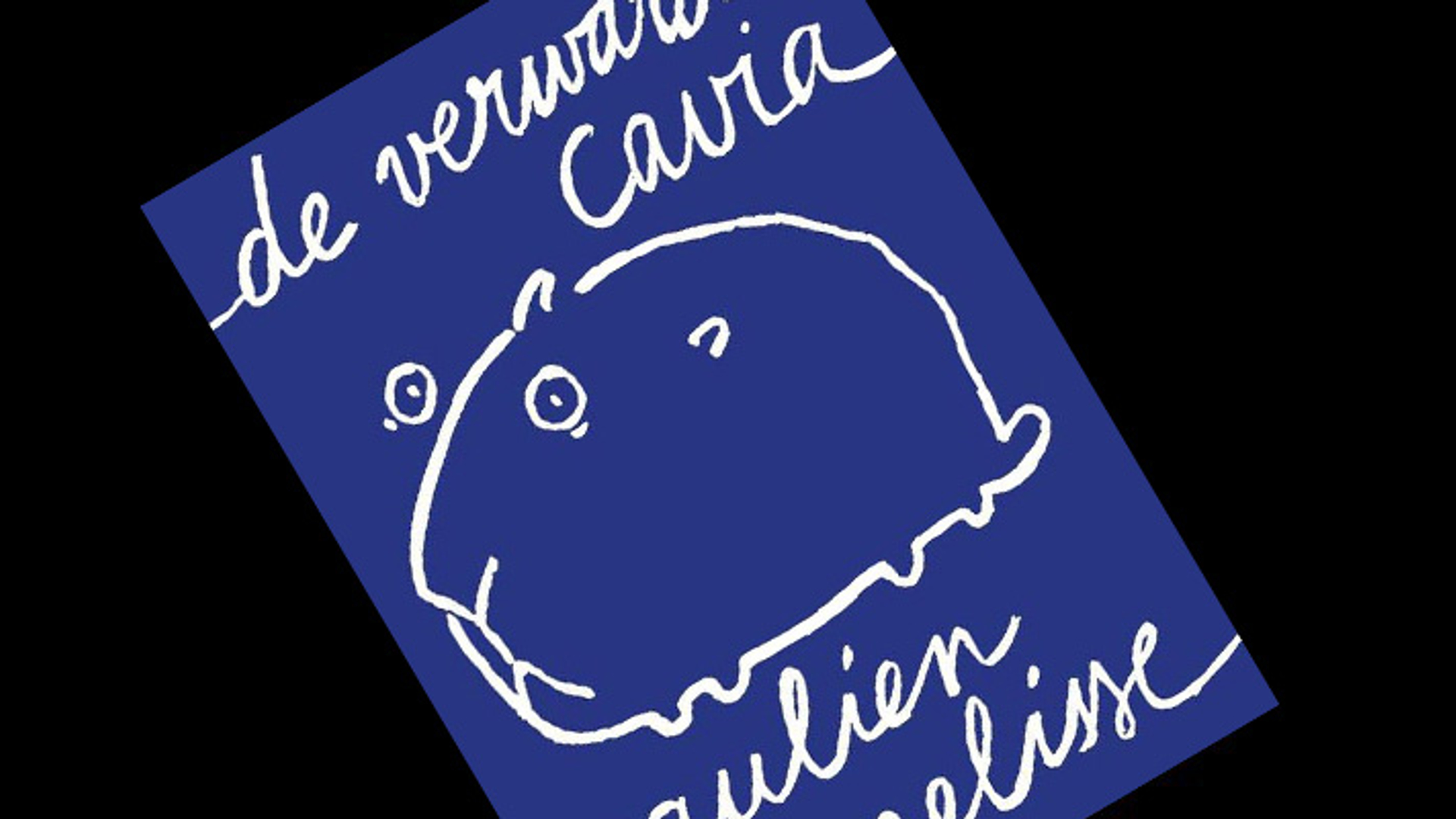 De Verwarde Cavia Paulien Cornelisse