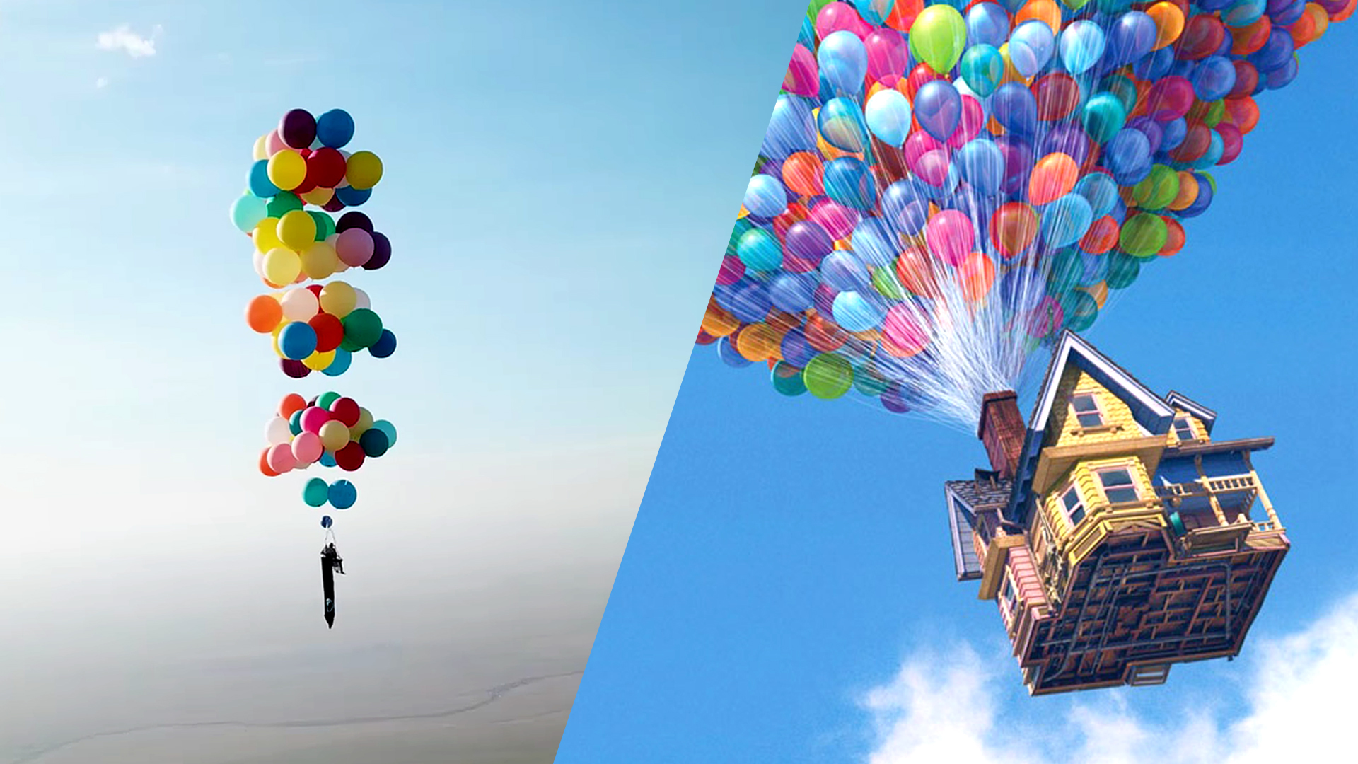 Web Draait Door: Man neemt film ‘Up’ iets te serieus.