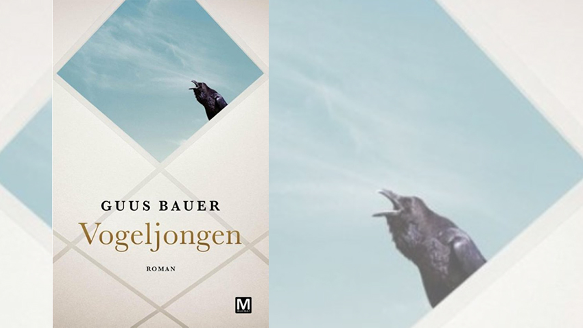 Boek Vogeljongen