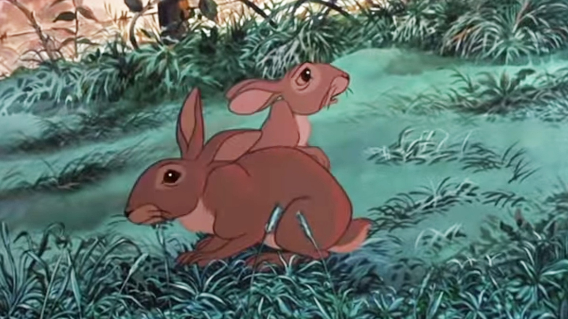 Watership down