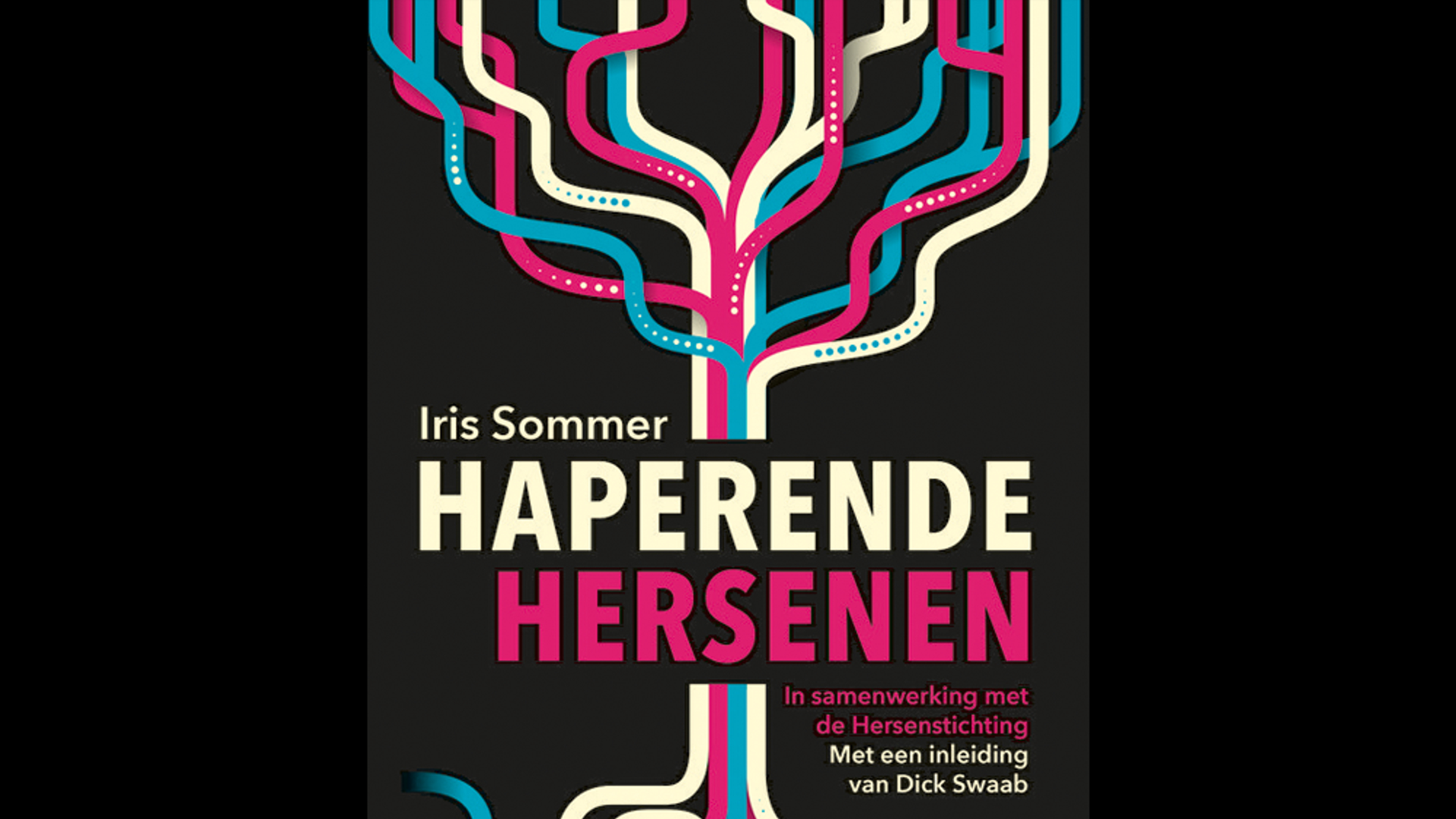 Boek Haperende Hersenen