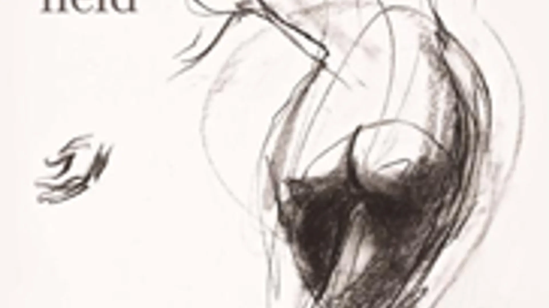 Godin__Held_-_Gustaaf_Peek.png