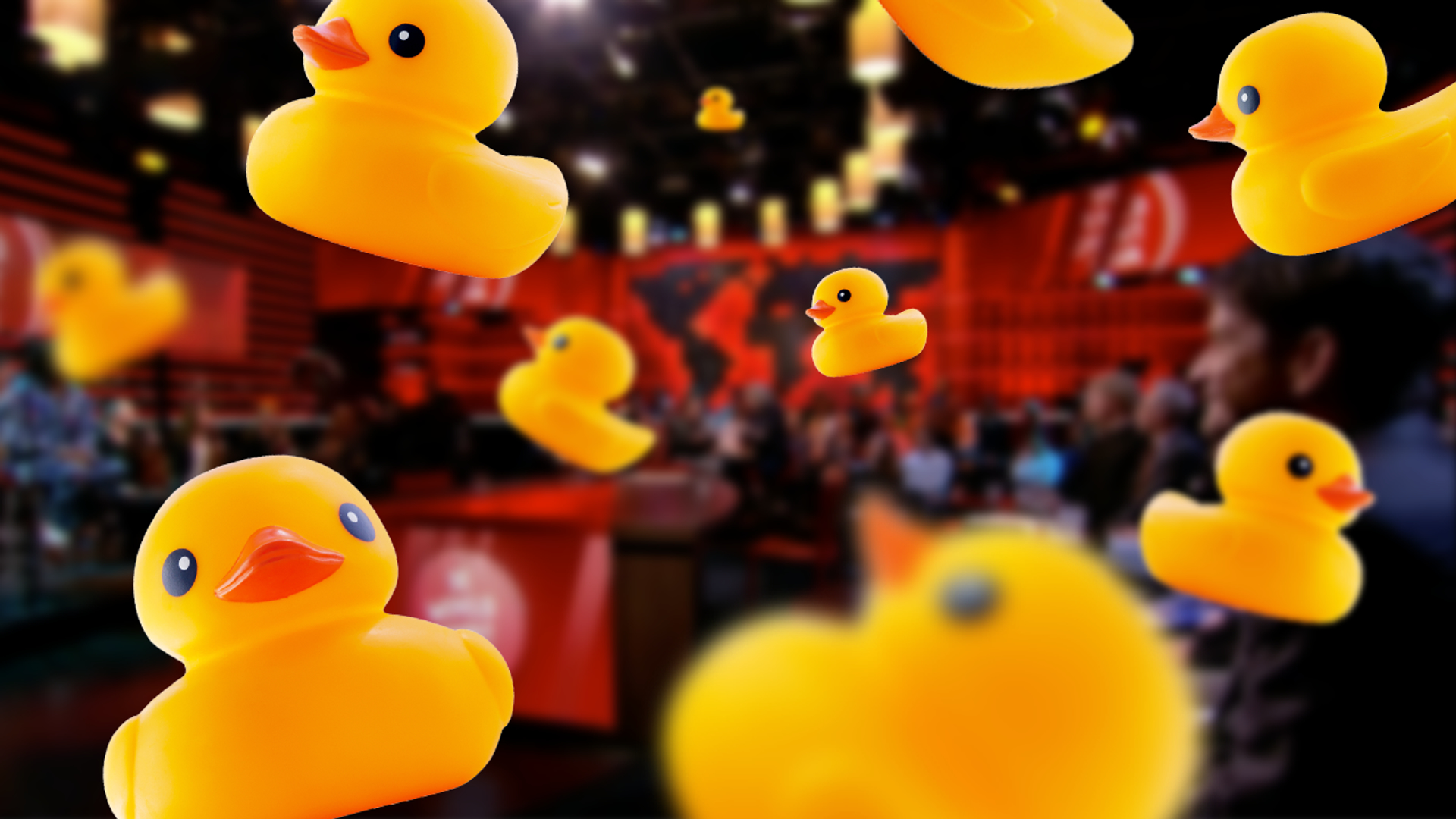 eendjes_thumb