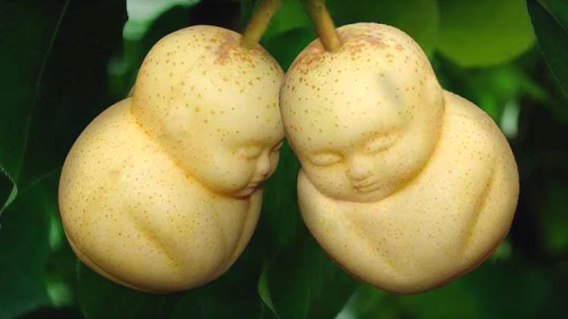 vreemd gevormd fruit