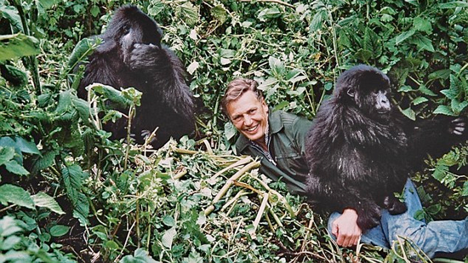 David Attenborough