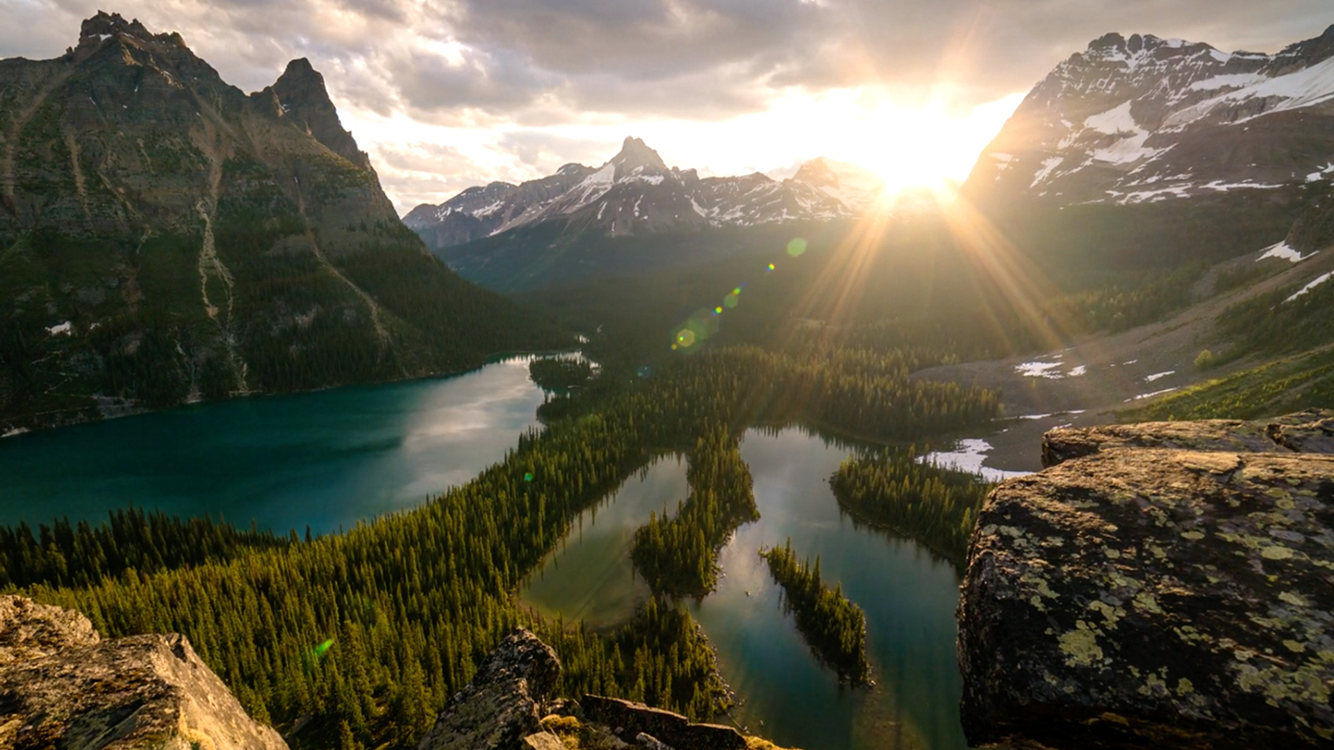 Tumb canada web draait door