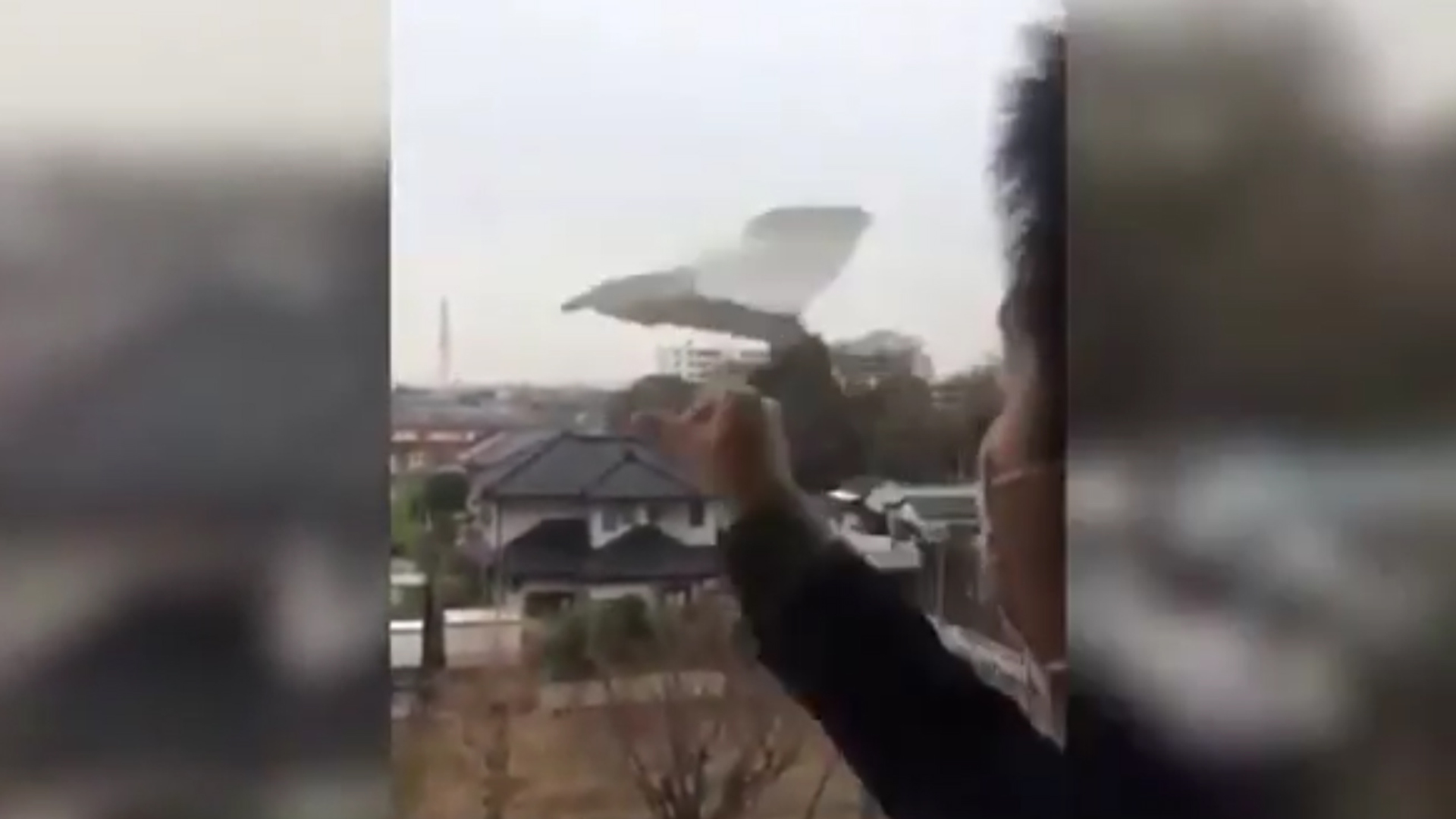 web draait door papieren vliegtuig scr