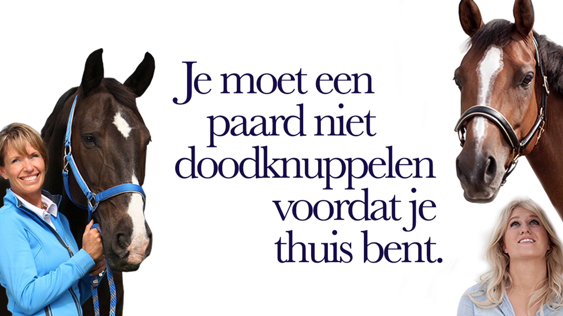 thumb-paarden