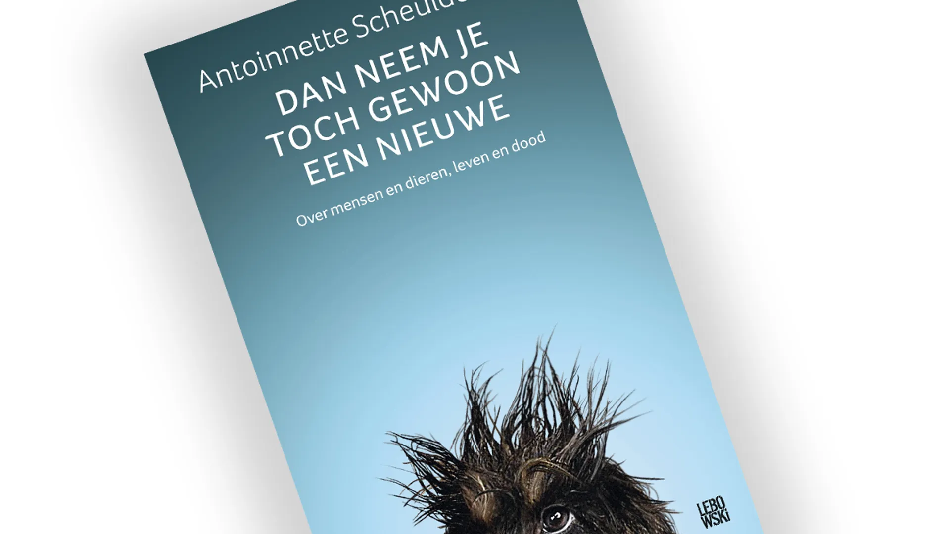 Afbeelding van Boek 'Dan neem je toch gewoon een nieuwe' - Antoinnette Scheulderman