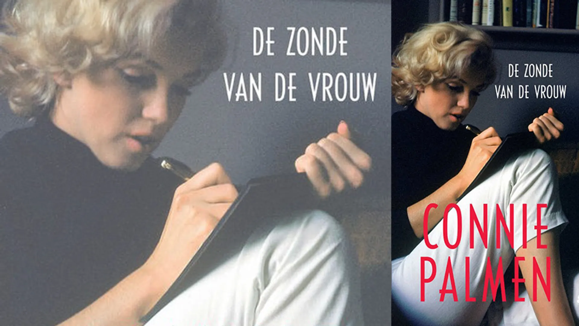 Boek: De zonde van de vrouw - Connie Palmen - De Wereld Draait Door