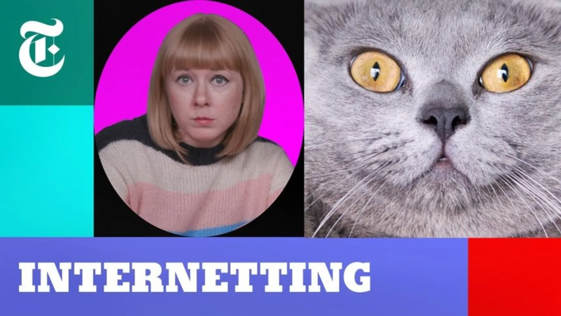 Afbeelding van Zijn honden de toekomst van het internet?
