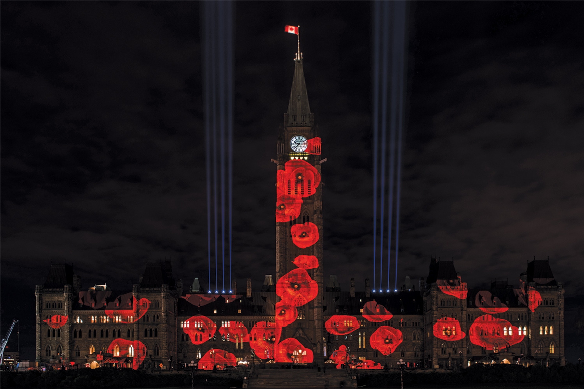 Virtual-Poppies-drop-on-hill