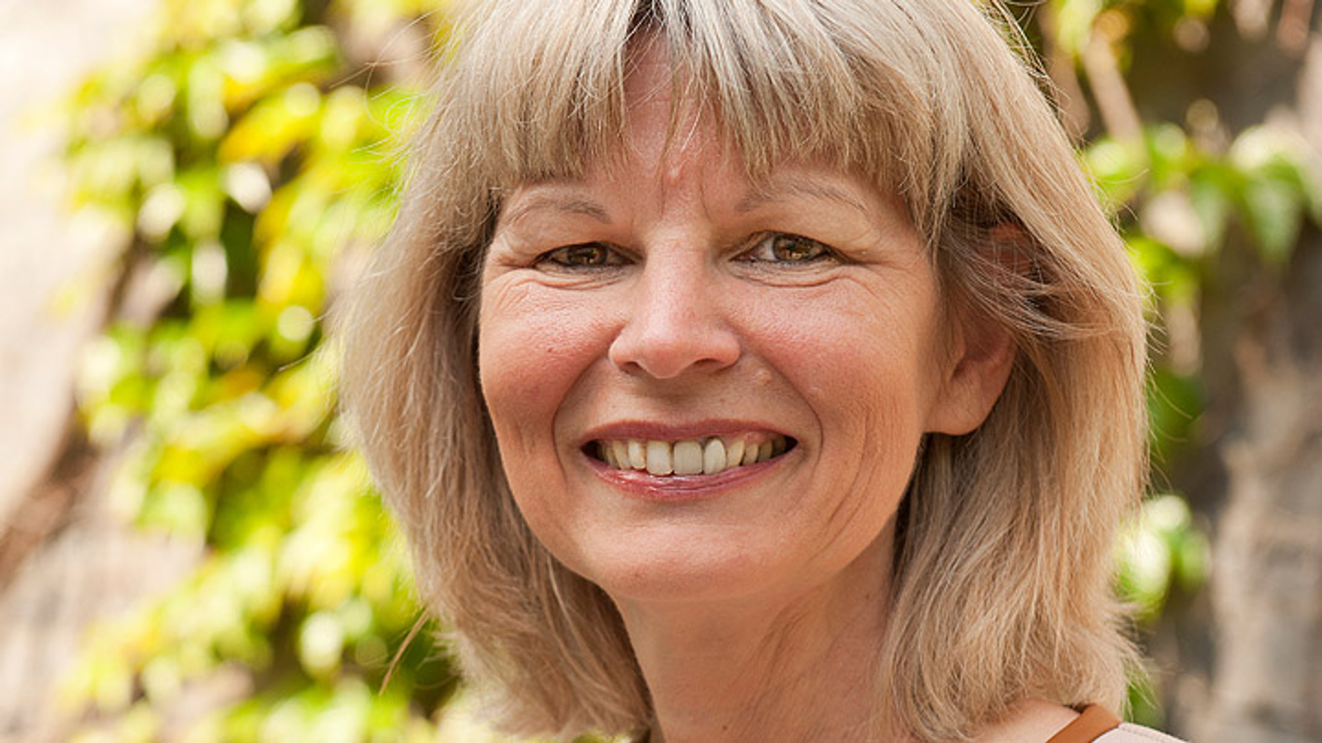 José van Dijck Gasten archief DWDD De Wereld Draait Door BNNVARA