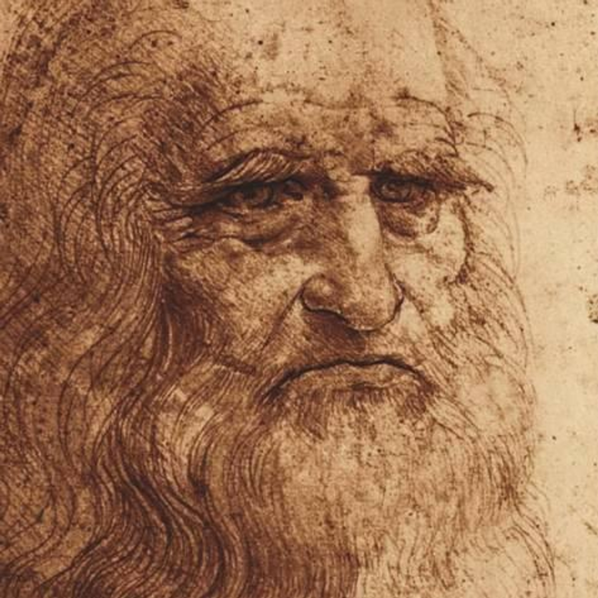 da Vinci 1