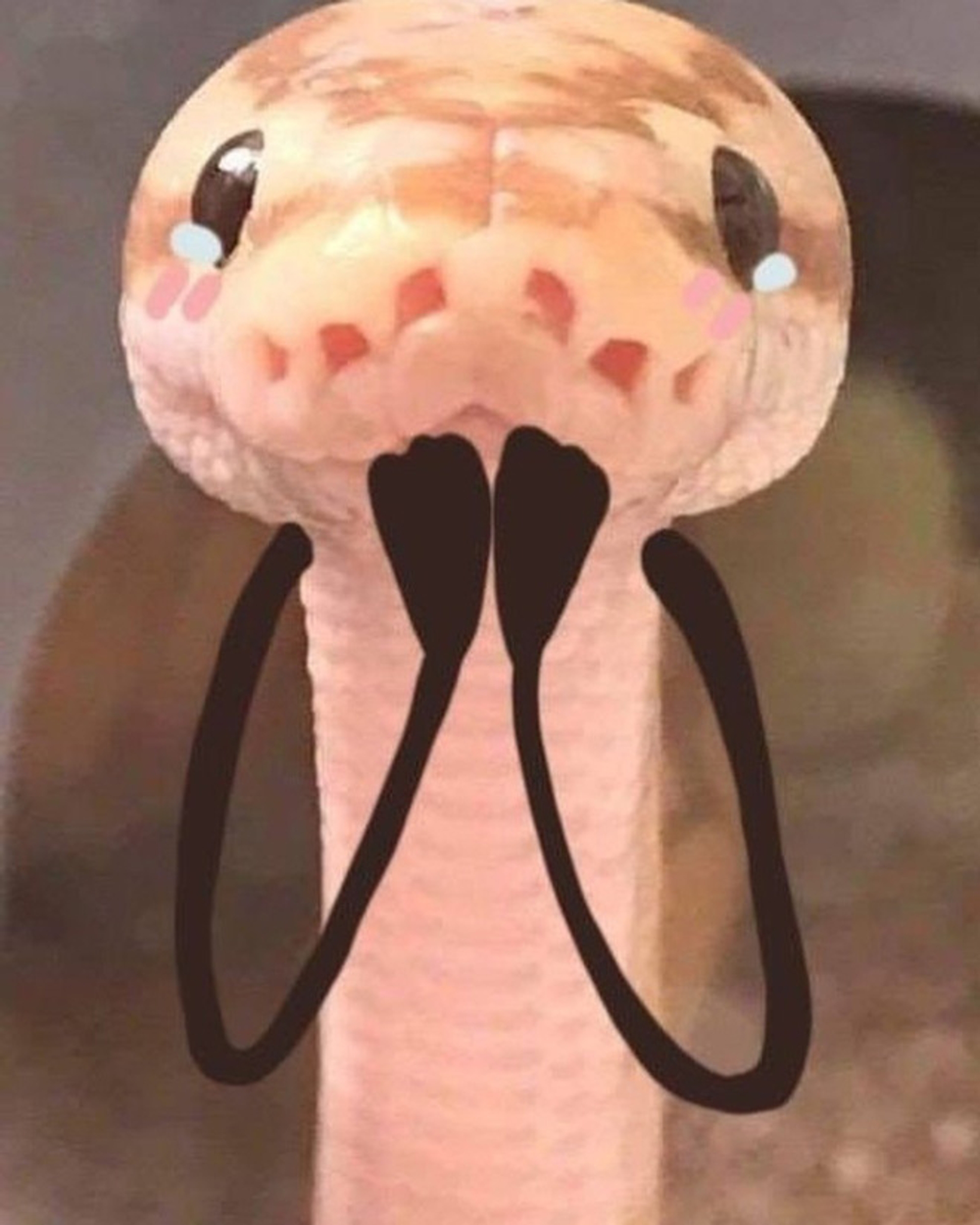 snake-doodles6