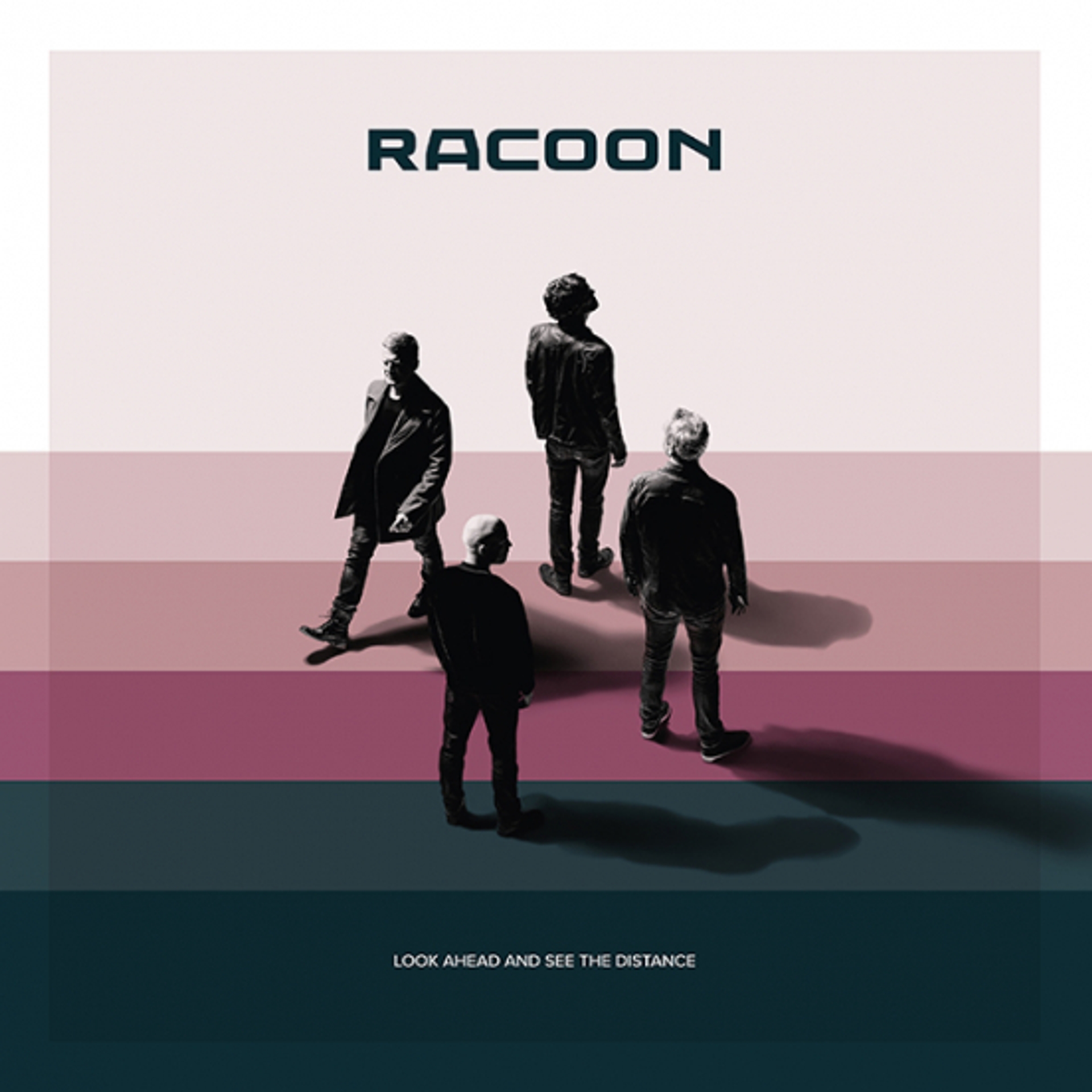 racoon album