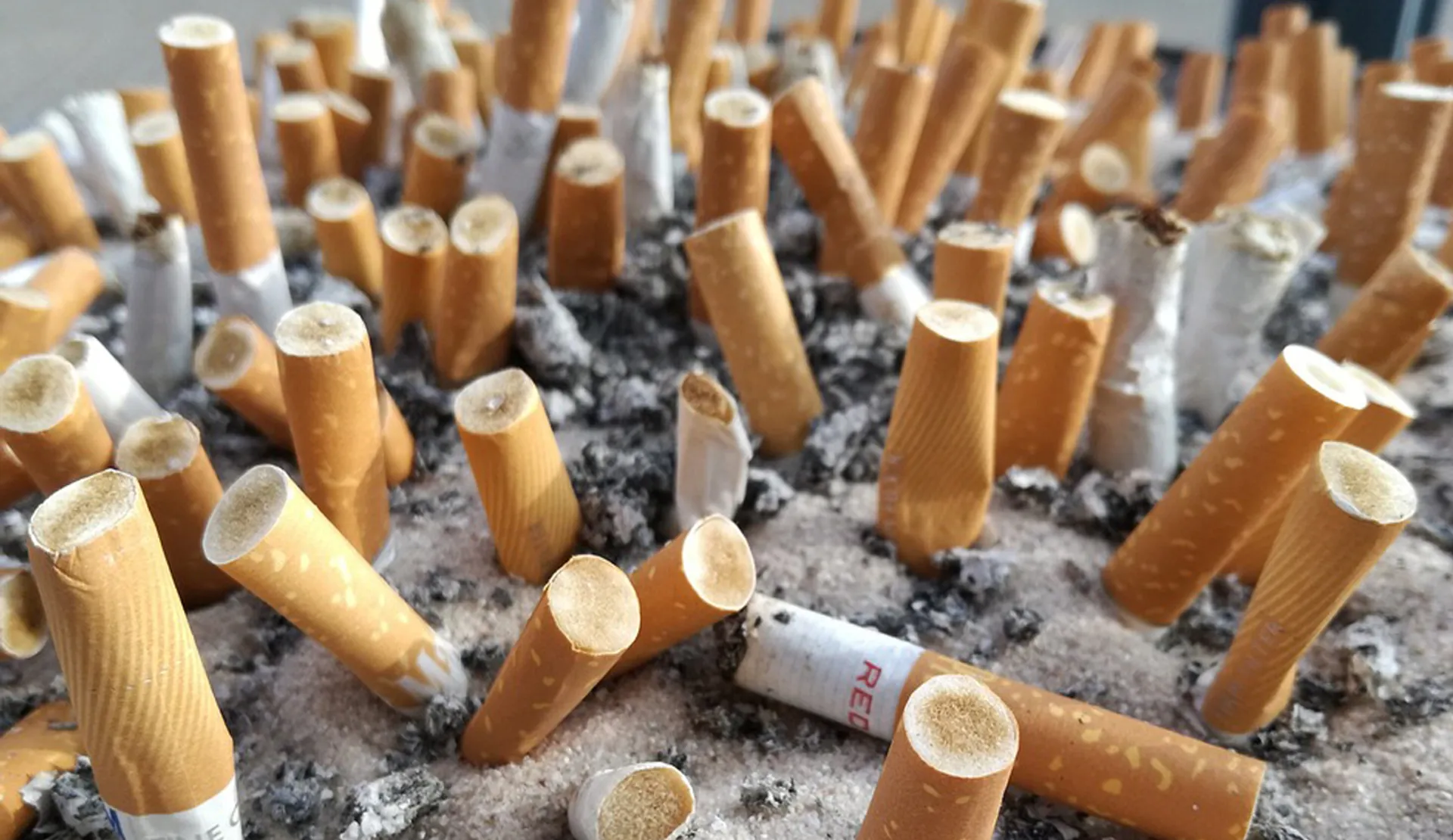 Wist je Datjes: Roken - De Wereld Draait Door - BNNVARA