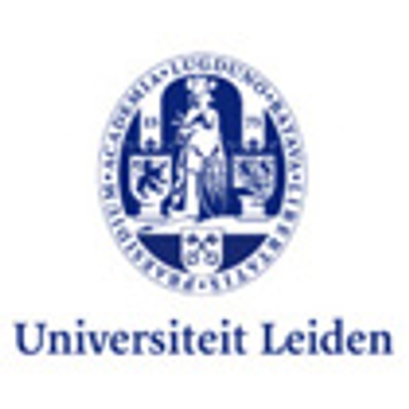 Afbeelding van Team Universiteit Leiden