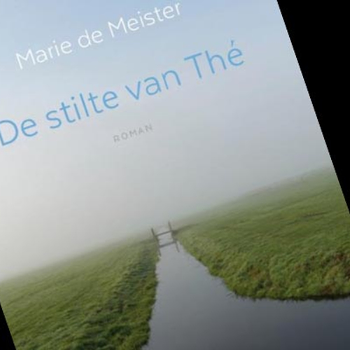 De stilte van Thé - Marie de Meiste