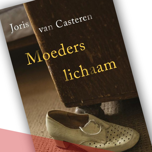 Boek: 'Moeders lichaam' - Joris van Casteren