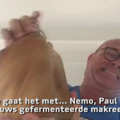 Hoe gaat het met Paul de Leeuws gefermenteerde makreel, Nemo?