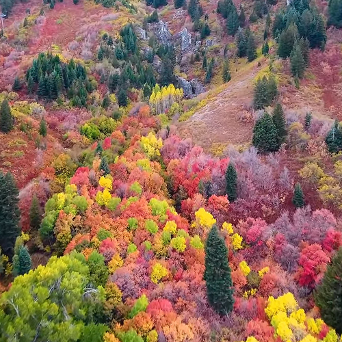 Web Draait Door: herfstpracht in Utah