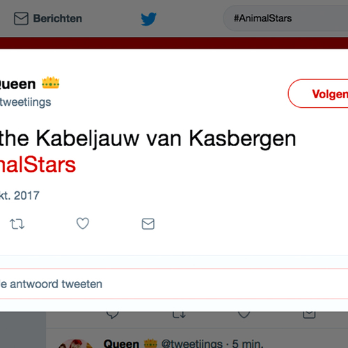 De Beste #AnimalStars Tweets