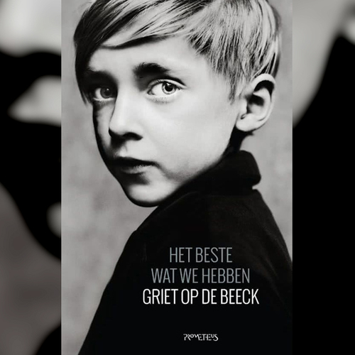 Boek: Het beste wat we hebben -  Griet Op de Beeck