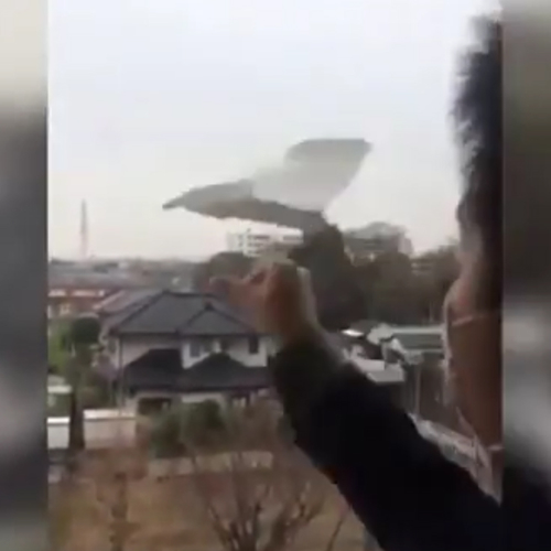 Web Draait Door: papieren vliegtuig of boomerang?