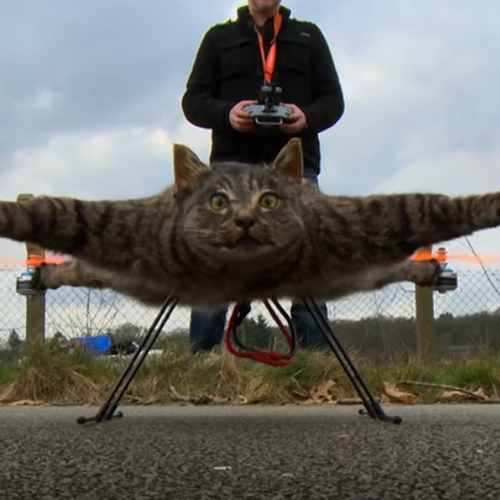 Web Draait Door: Nederlander maakt drone van zijn overleden kat