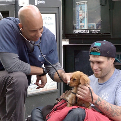 Feelgood Friday: Dierenarts behandelt gratis dieren van daklozen