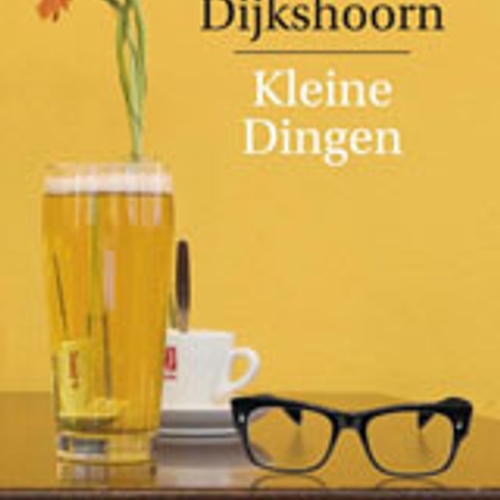 Nico Dijkshoorn: Kleine dingen